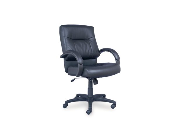 Tempest Mid Back Chair