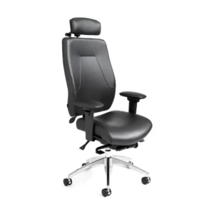 eCentric Executive Series Ergocentric SA Chair