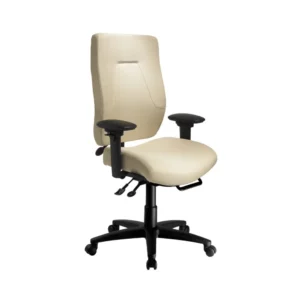 24Centric Series Ergocentric SA Chair