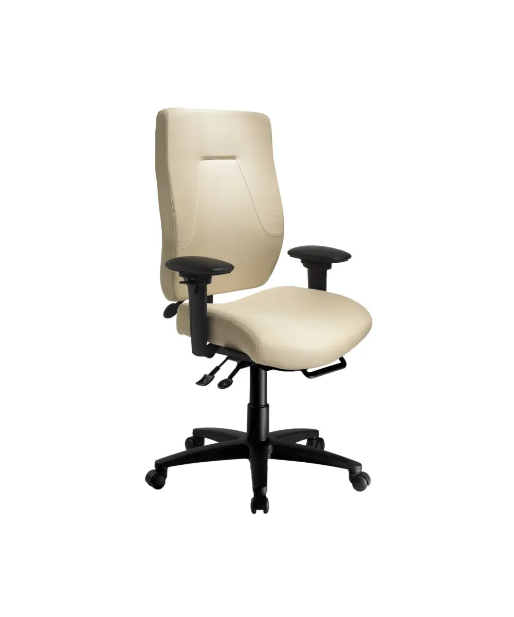24Centric Series Ergocentric SA Chair