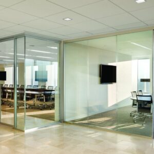 modular-walls-glazed-polished-aluminum-extrusion-with-polycarbonate-joints-with-frameless-sliding-door-and-framed-pivot-doors-1024x576