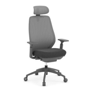 AX Deluxe Executive Chair with Headrest