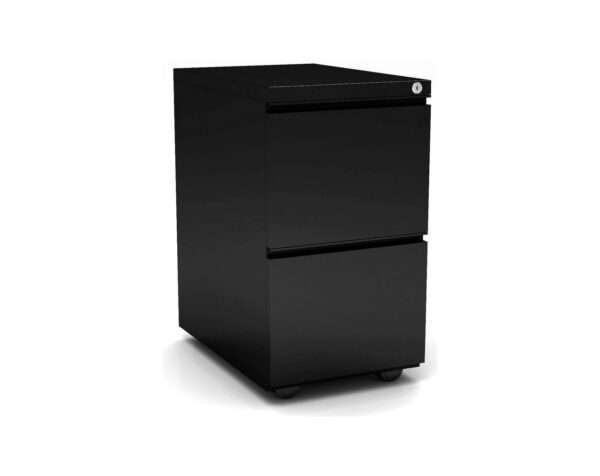 Premium Steel Metal Filing Cabinet - 2 Drawer in Black