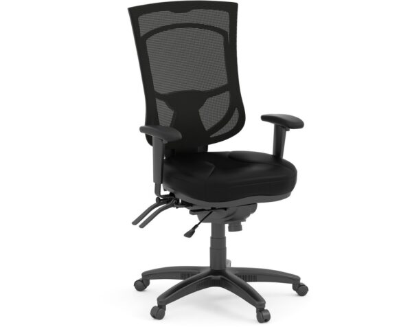 CoolMesh Pro Executive High Back Chair - Black Leather