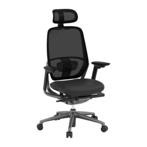 Hendryx Executive Chair with Headrest