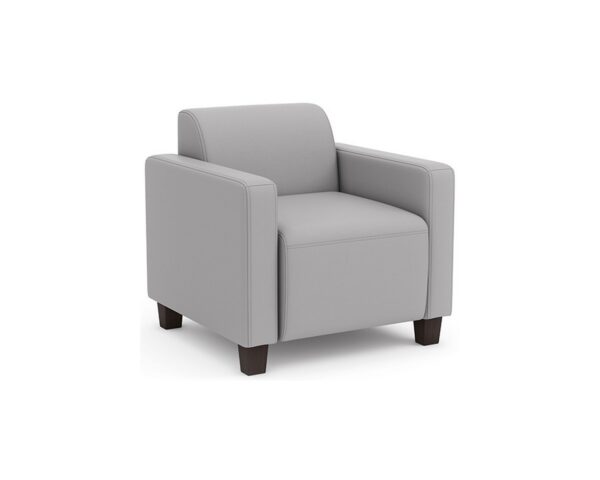 Hyde Park Executive Club Chair - Grey SKU 9081