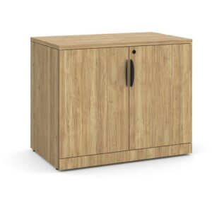 Locking Double Door Storage Cabinet 29.5 Inch with Aspen Finish