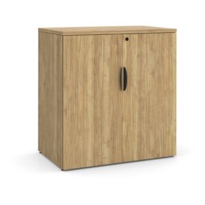 Locking Double Door Storage Cabinet 38 Inch with Aspen Finish