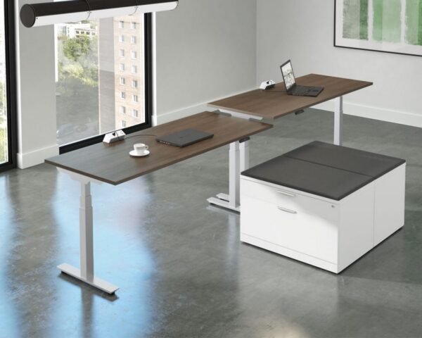 2 Enhance Height Adjustable Desks in Modern Walnut with White Bases