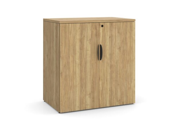 Locking Double Door Office Cabinet - Aspen