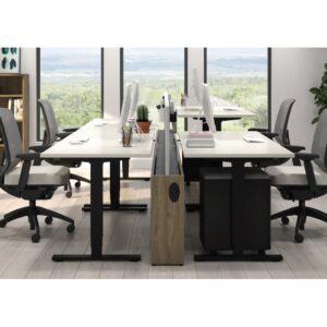 Artopex Height Adjustable Desk TA-19-03