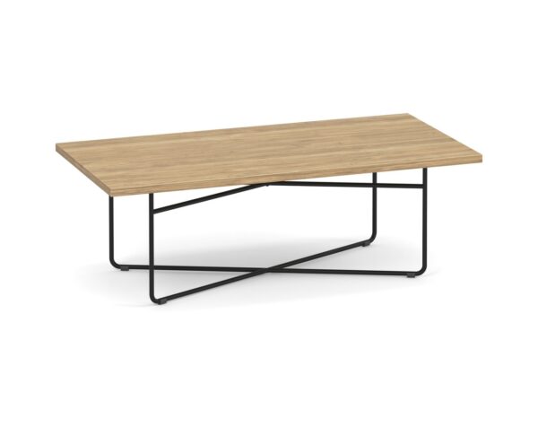 Coopertown Rectangular Coffee Table 24" x 48" - Aspen