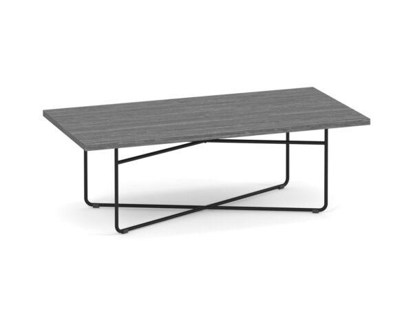 Coopertown Rectangular Coffee Table 24" x 48" - Newport Grey