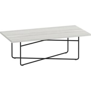 Coopertown Rectangular Coffee Table 24" x 48" - Silver Birch