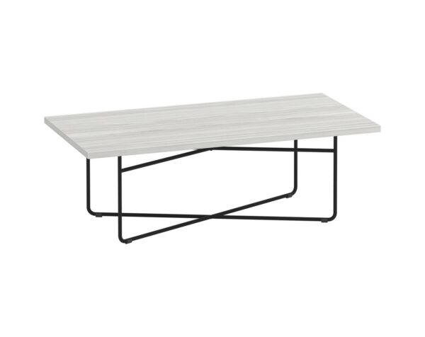 Coopertown Rectangular Coffee Table 24" x 48" - Silver Birch