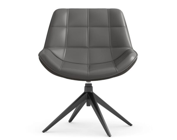 Neo Lounge Chair - 201BLKMSCHAR0408