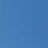 Blue Bello