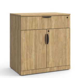 38"H Locking Double Door Cabinet with Buffet Drawer -Aspen